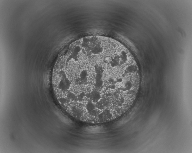 X0000112530065200909281047