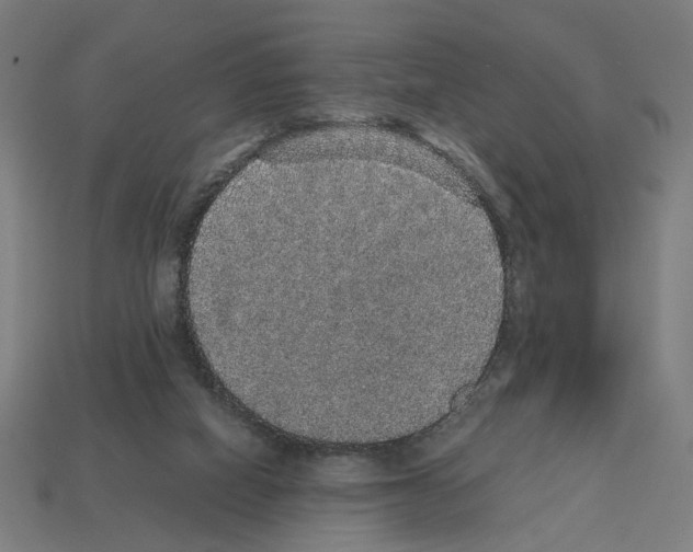 X0000112530066200909281047