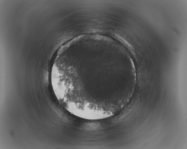 X0000112530067200909281047