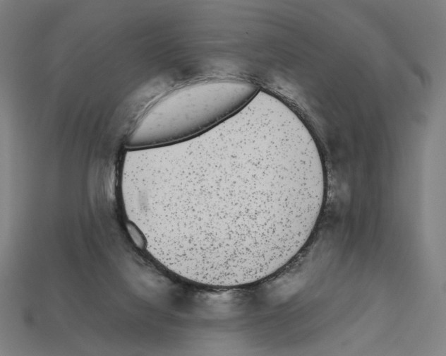 X0000112530068200909281047