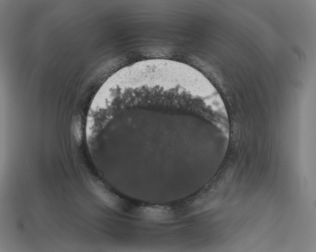 X0000112530069200909281047