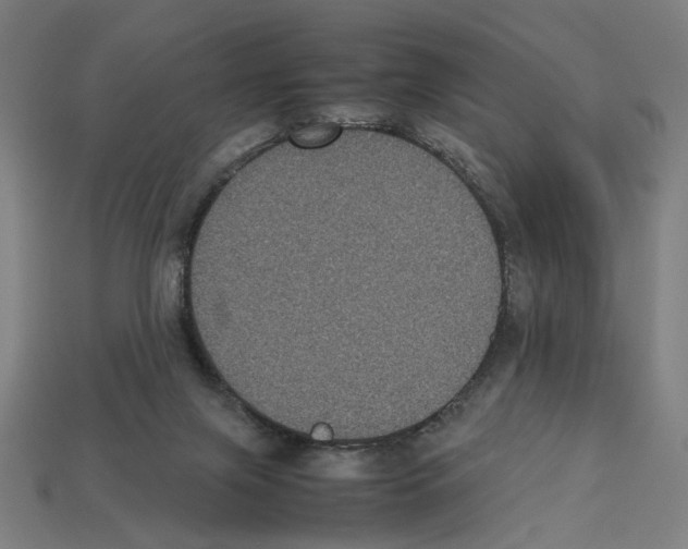 X0000112530071200909281047