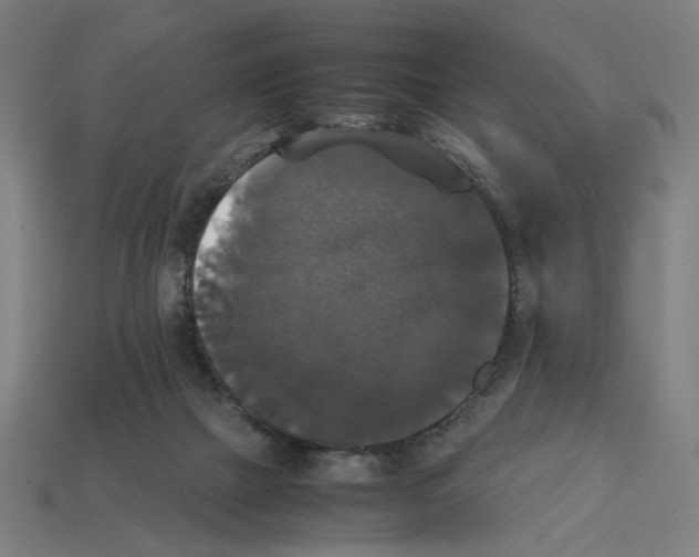 X0000112530073200909281047