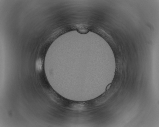 X0000112530075200909281047