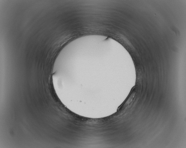 X0000112530076200909281047