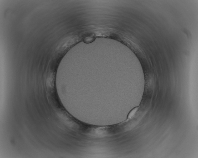 X0000112530078200909281047