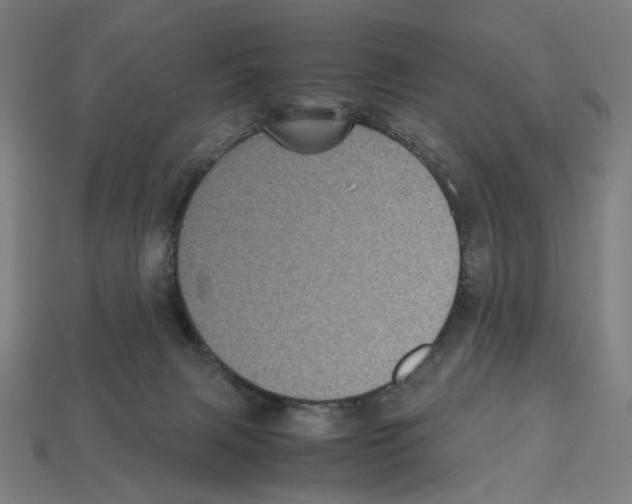 X0000112530079200909281047