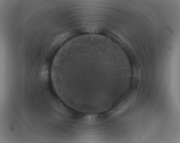 X0000112530080200909281047