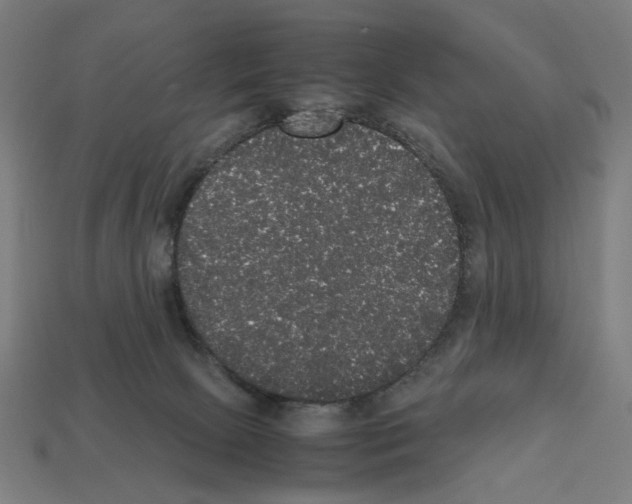 X0000112530081200909281047