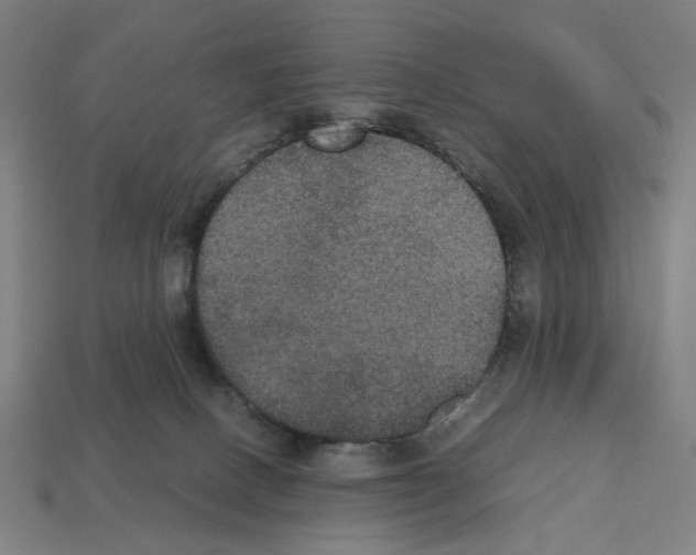 X0000112530082200909281047