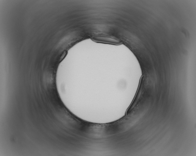 X0000112530084200909281047