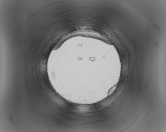 X0000112530085200909281047