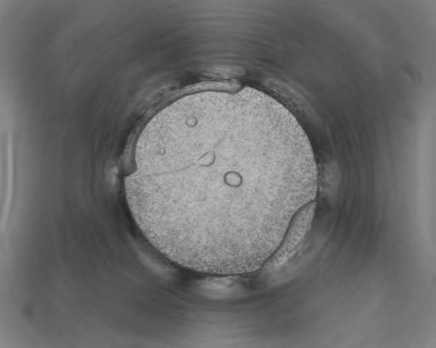 X0000112530086200909281047