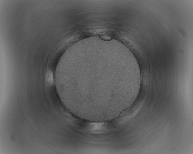 X0000112530089200909281047