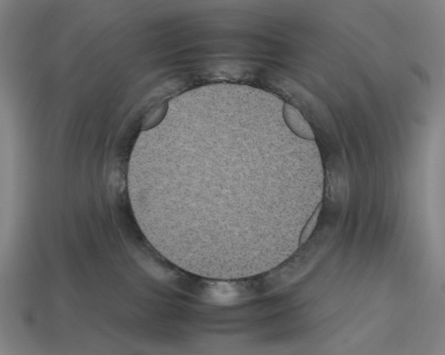 X0000112530091200909281047