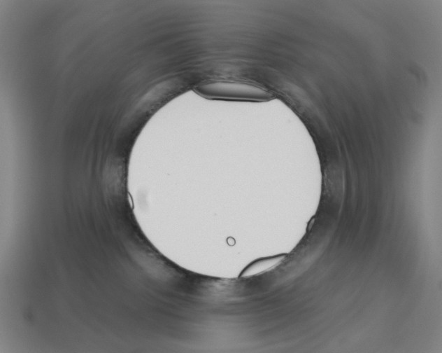 X0000112530092200909281047