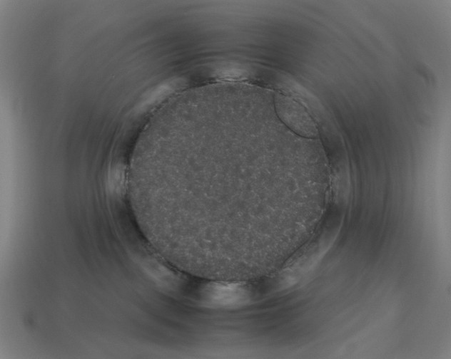 X0000112530093200909281047