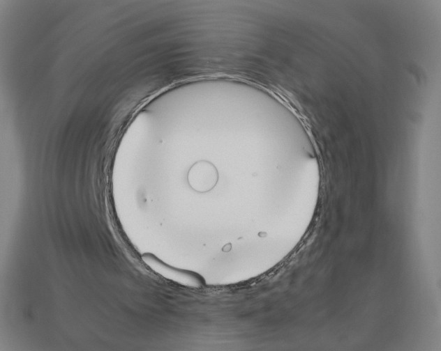 X0000112530097200909281047