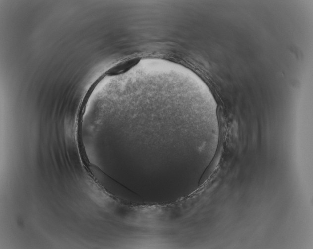 X0000112530100200909281047