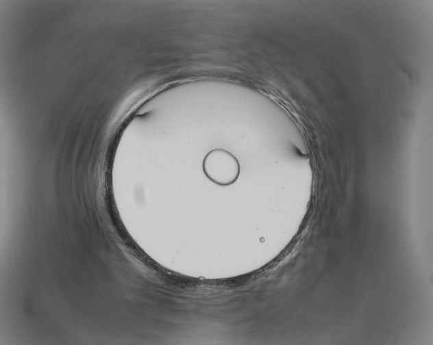 X0000112530101200909281047