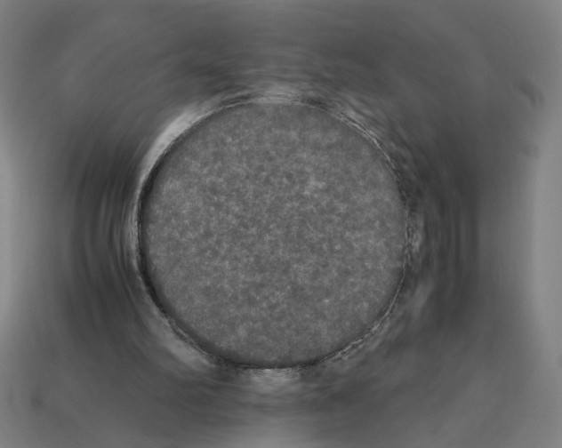 X0000112530102200909281047