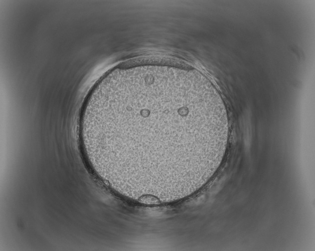 X0000112530103200909281047