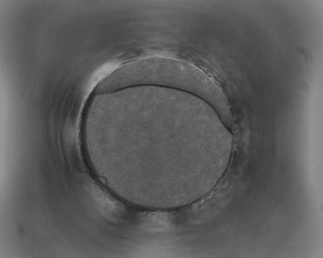 X0000112530104200909281047