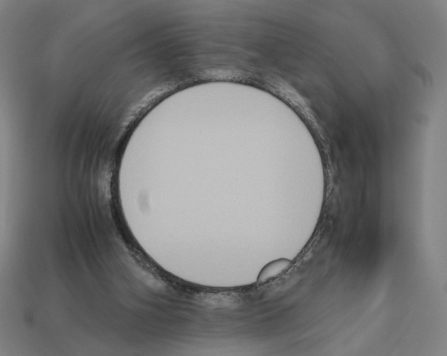 X0000112530106200909281047