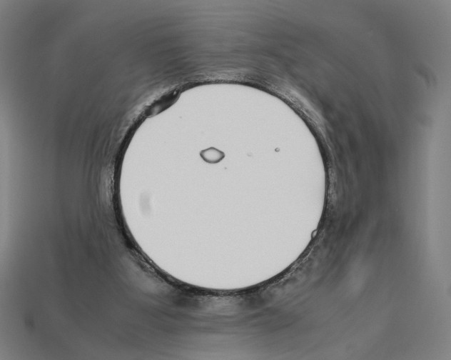 X0000112530107200909281047