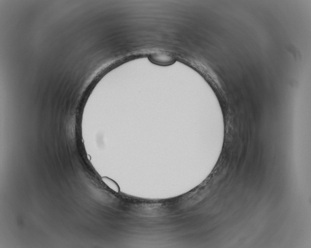 X0000112530108200909281047