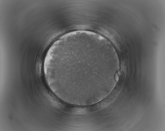 X0000112530110200909281047