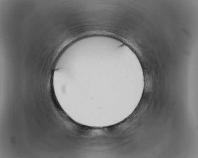 X0000112530111200909281047