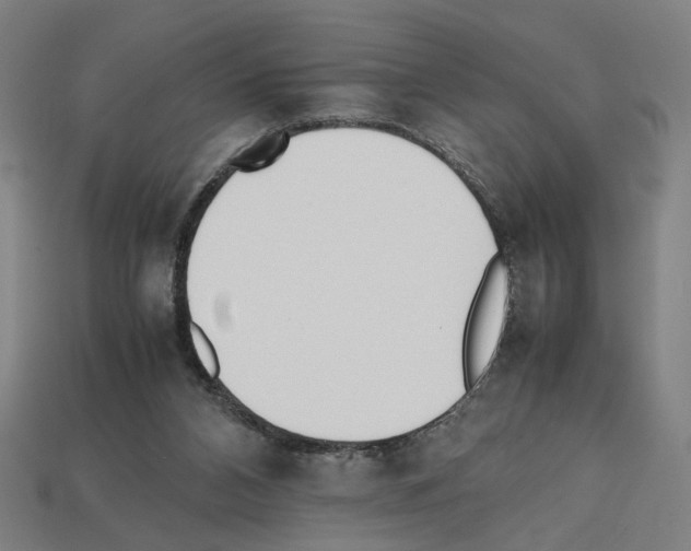 X0000112530112200909281047