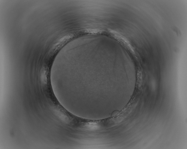 X0000112530114200909281047