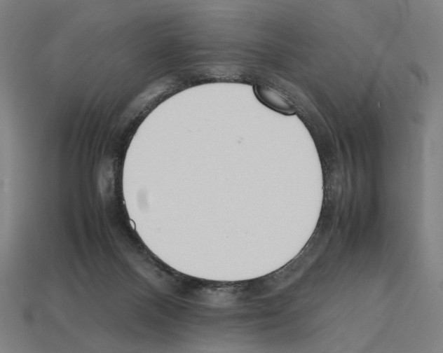 X0000112530120200909281047