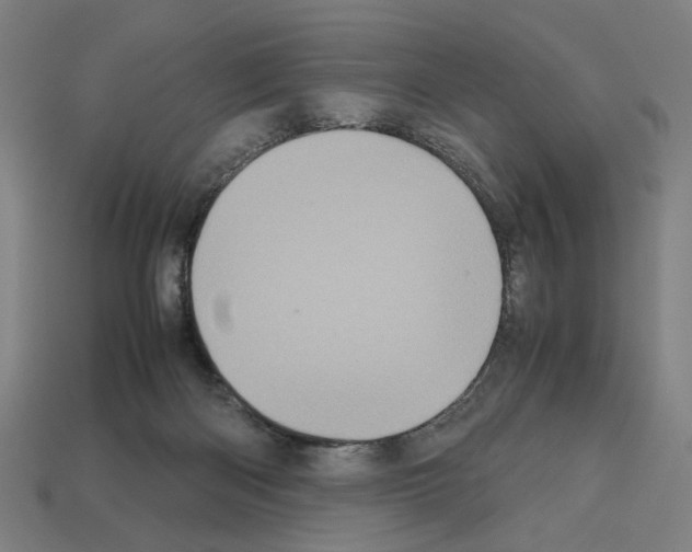 X0000112530122200909281046