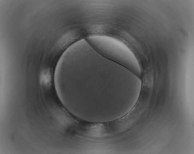 X0000112530124200909281046