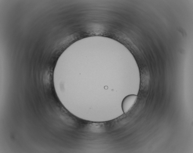 X0000112530126200909281046