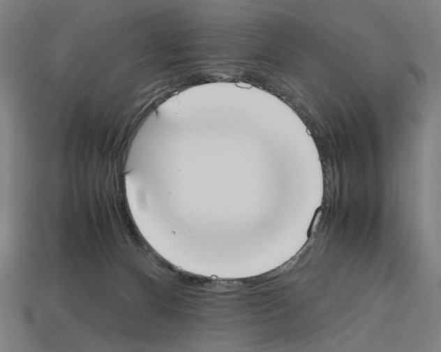 X0000112530128200909281046