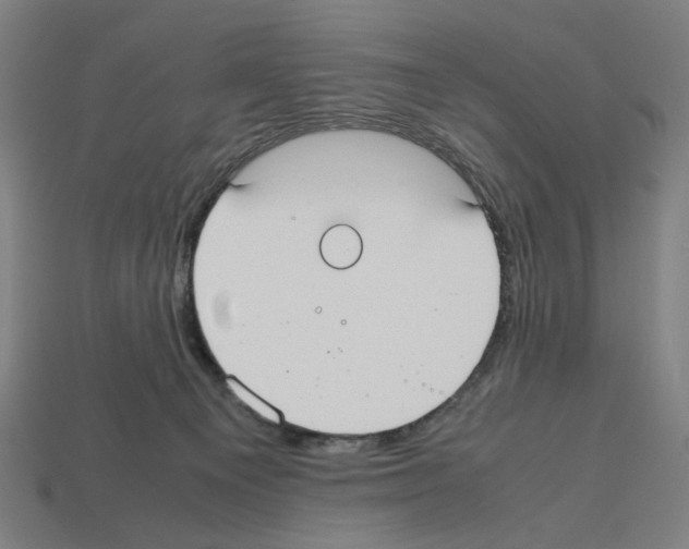 X0000112530129200909281046