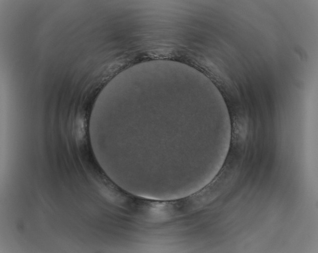 X0000112530130200909281046