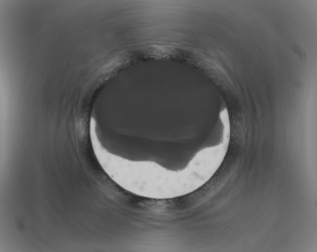 X0000112530131200909281046