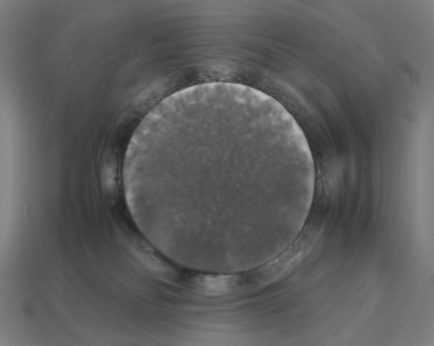 X0000112530134200909281046