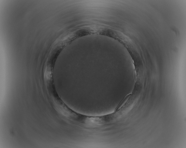 X0000112530137200909281046