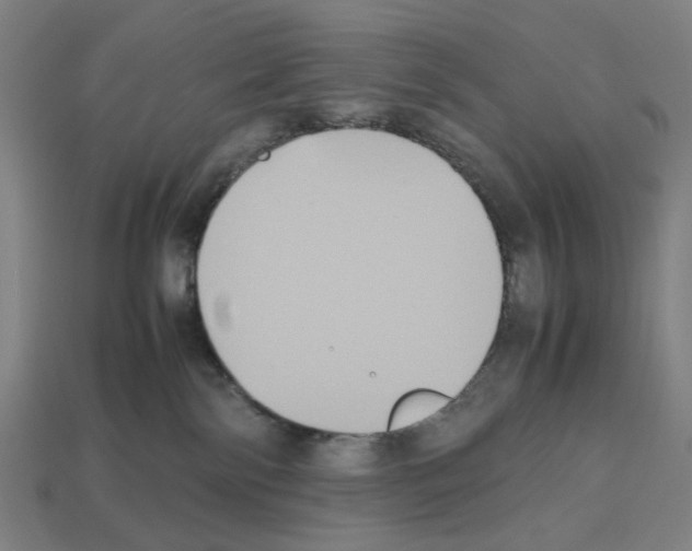 X0000112530138200909281046