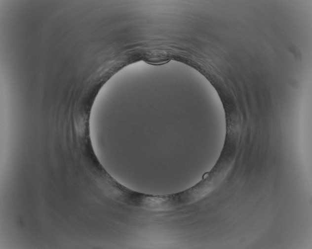 X0000112530139200909281046