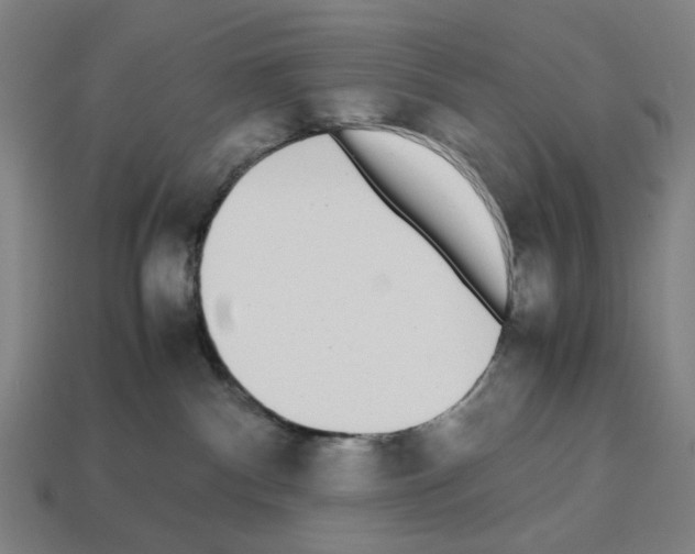 X0000112530140200909281046