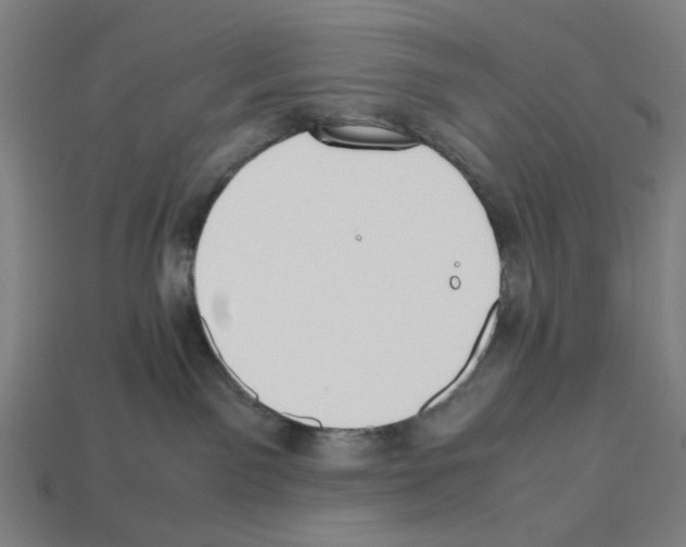 X0000112530141200909281046