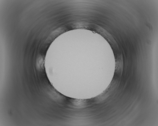 X0000112530142200909281046