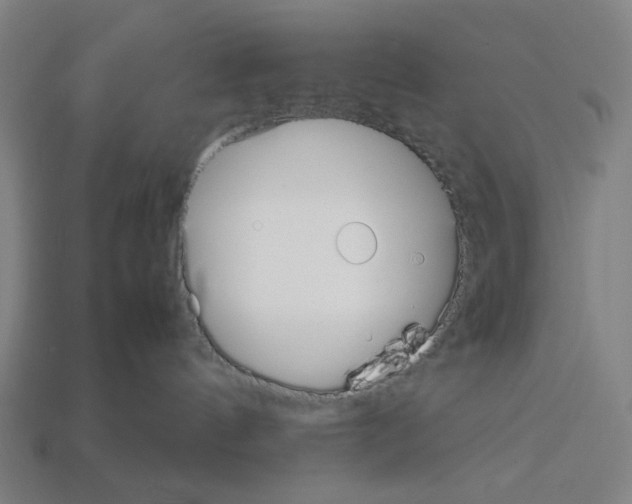 X0000112530144200909281046